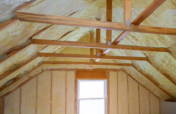 Best Commercial Insulation in North Miami, FL