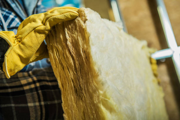 Best Fiberglass Insulation in North Miami, FL