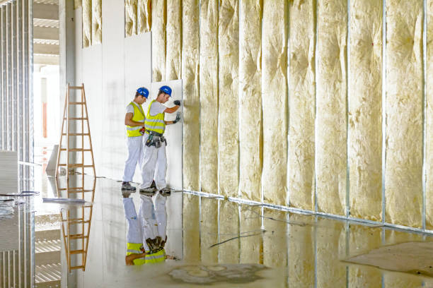Best Geographic-Specific Insulation Services in North Miami, FL